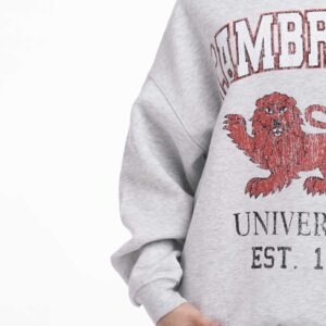 Alternative view of سويتر نسائي BSK