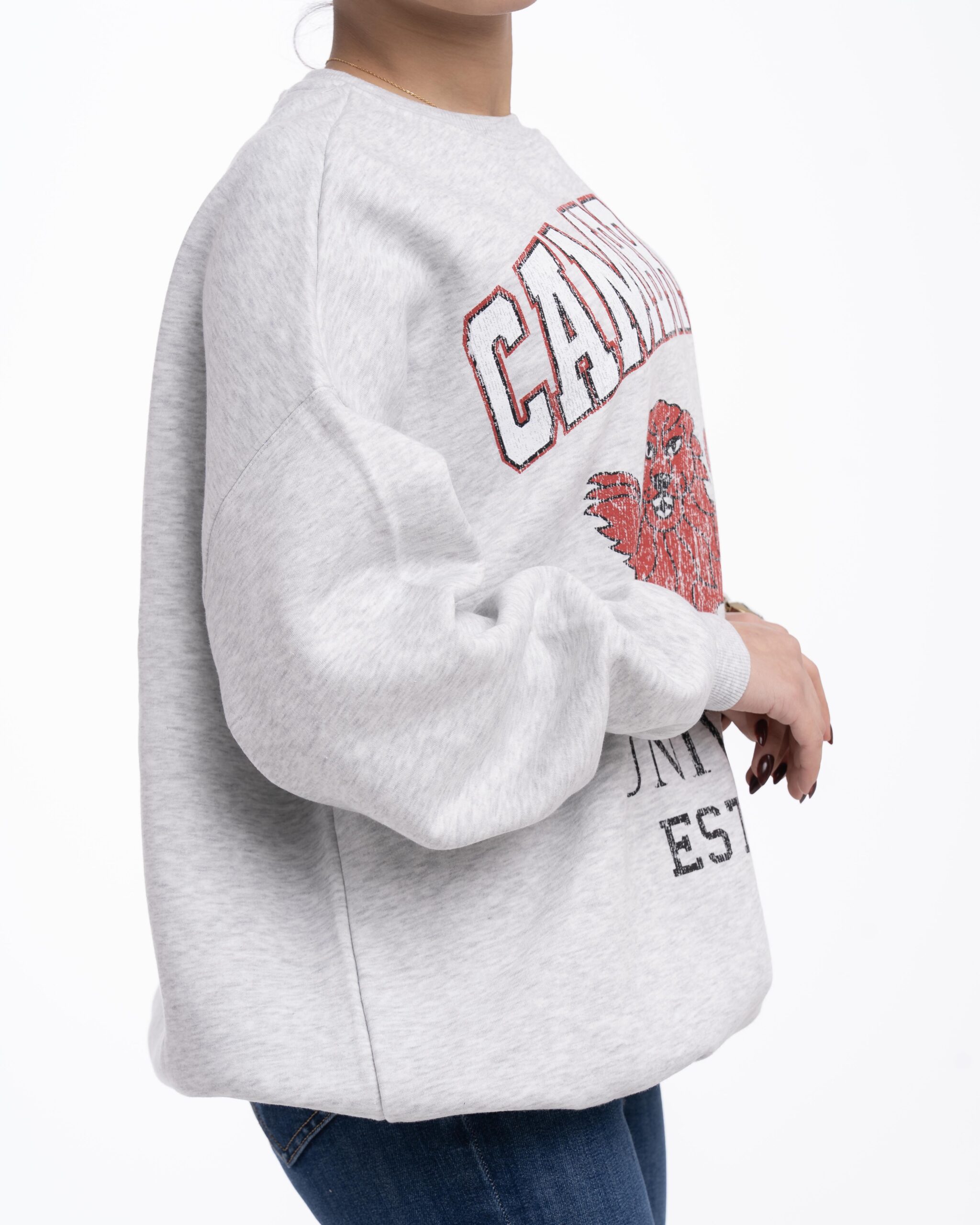 سويتر نسائي BSK - الصورة 5